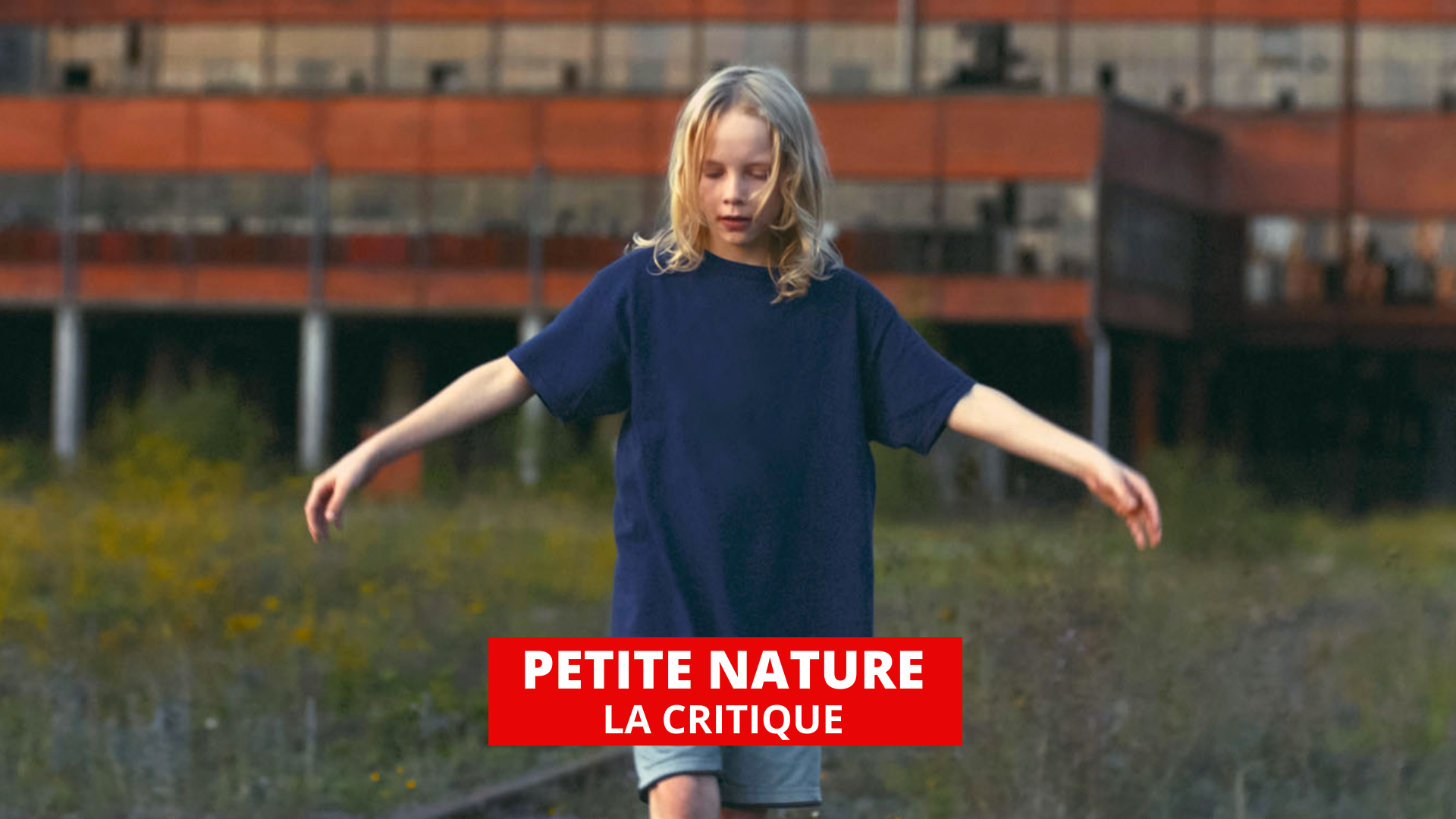 Petite nature : drame solaire pour un éveil intime et politique