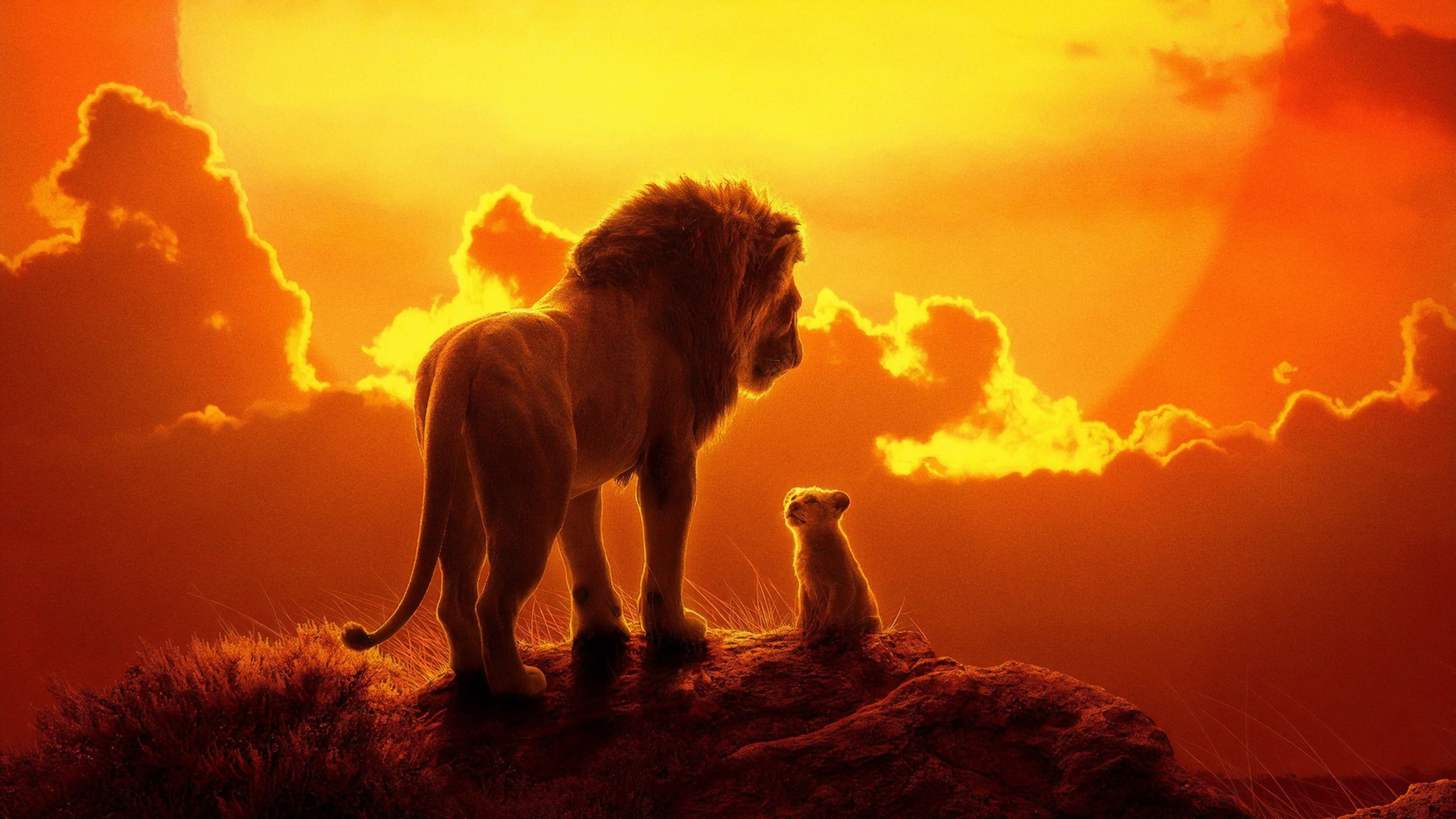 Le Roi Lion : doubler Simba a été douloureux pour Rayane Bensetti
