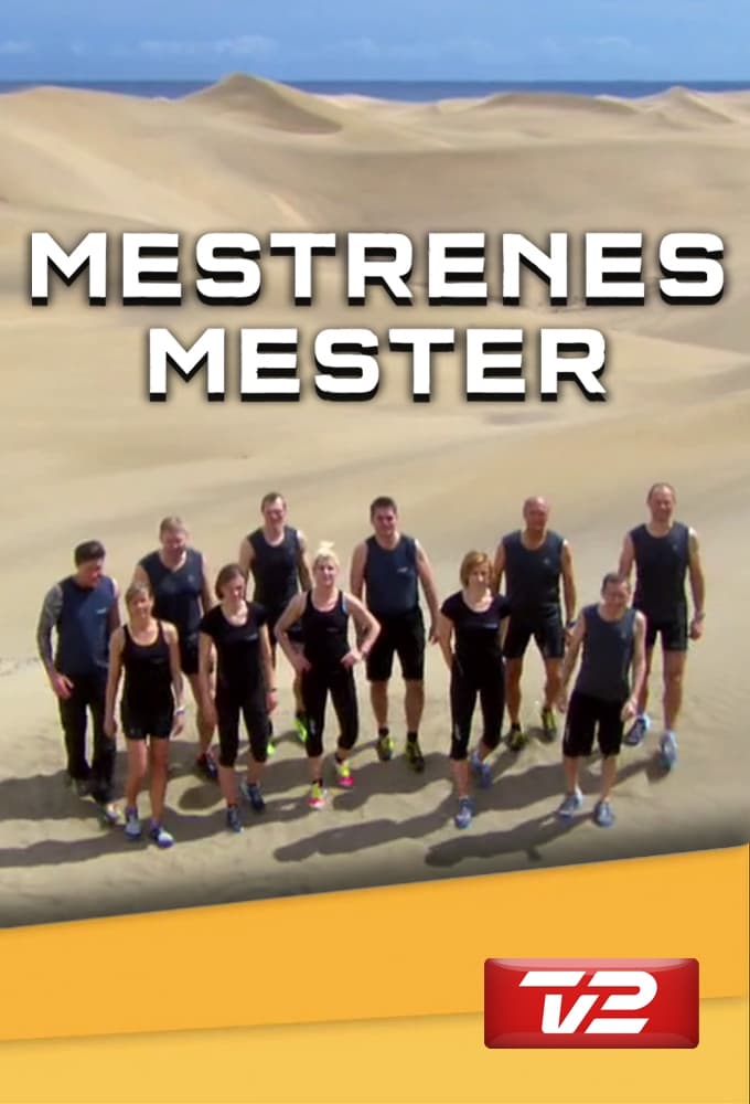 Mestrenes Mester