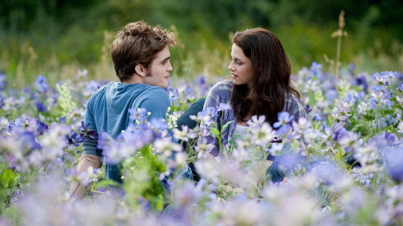 Twilight, chapitre 3 : hésitation : quand le réalisateur critiquait violemment la saga