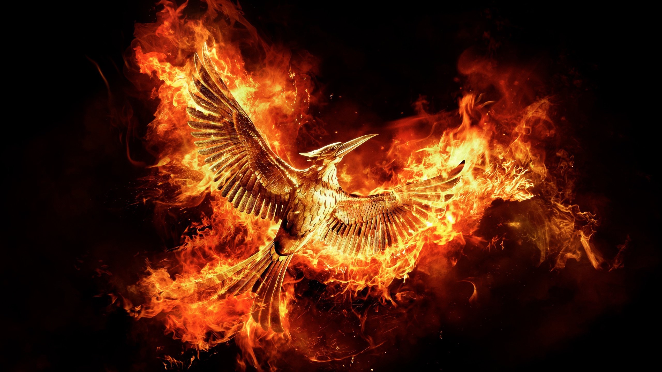 Hunger Games 6 : on en sait plus sur le nouveau film attendu en 2026