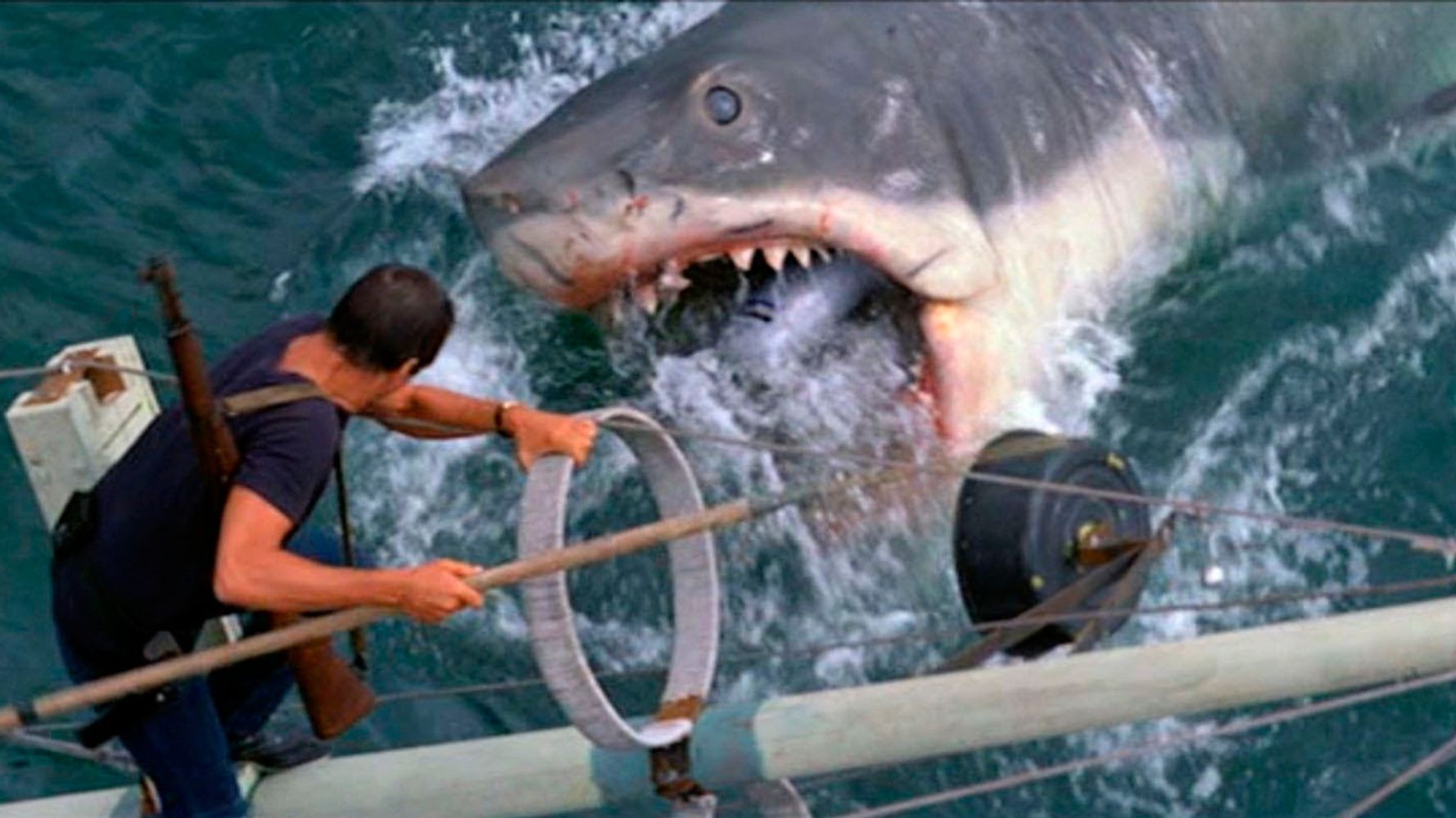 Les Dents de la mer : le secret d'un trucage brillant et dangereux du chef-d'oeuvre de Steven Spielberg