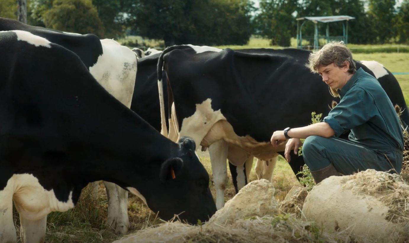 Petit paysan : pourquoi les vaches ont compliqué le tournage du film ?