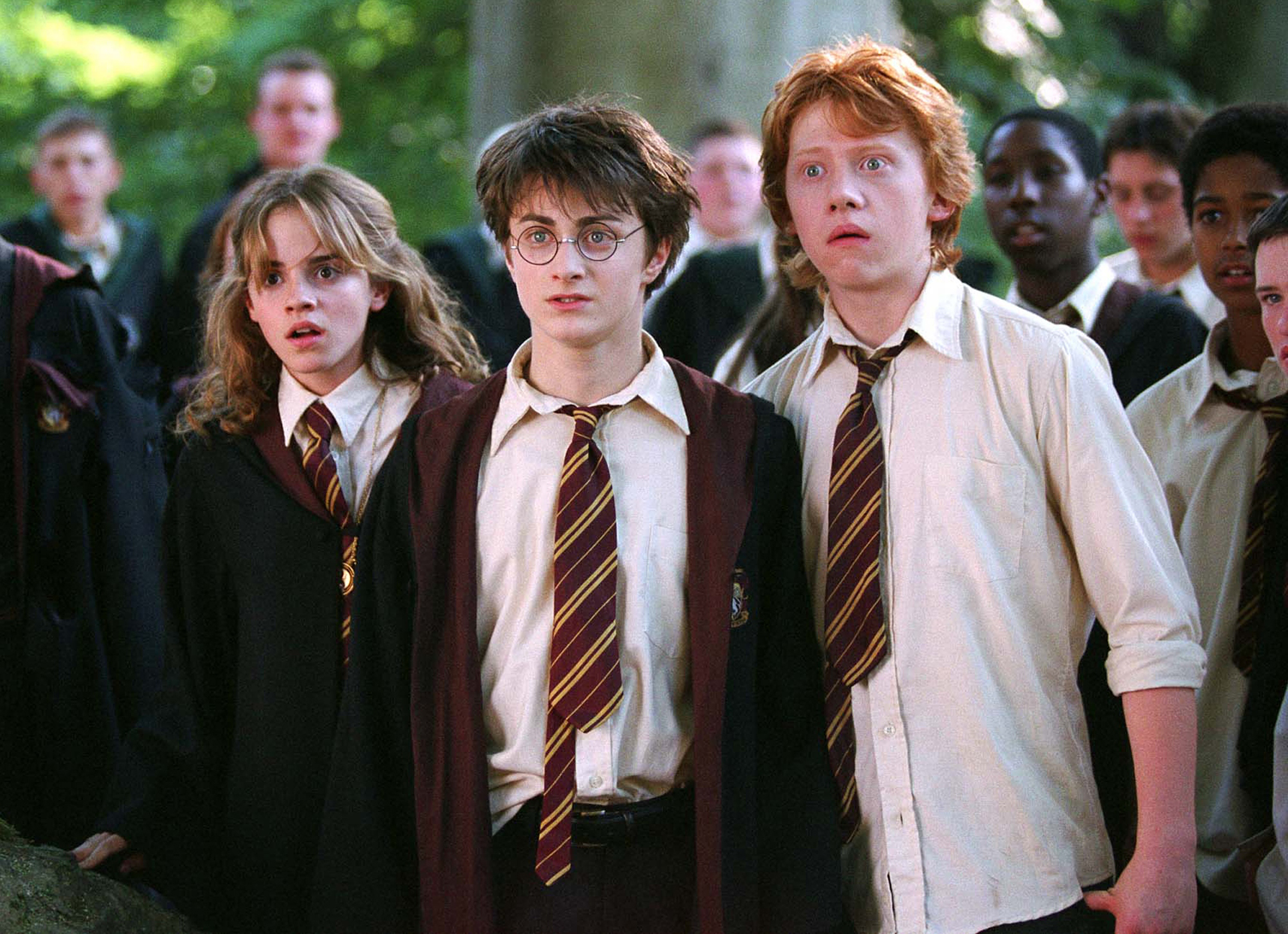 Harry Potter : un acteur phare de la saga est devenu une grande star de MMA