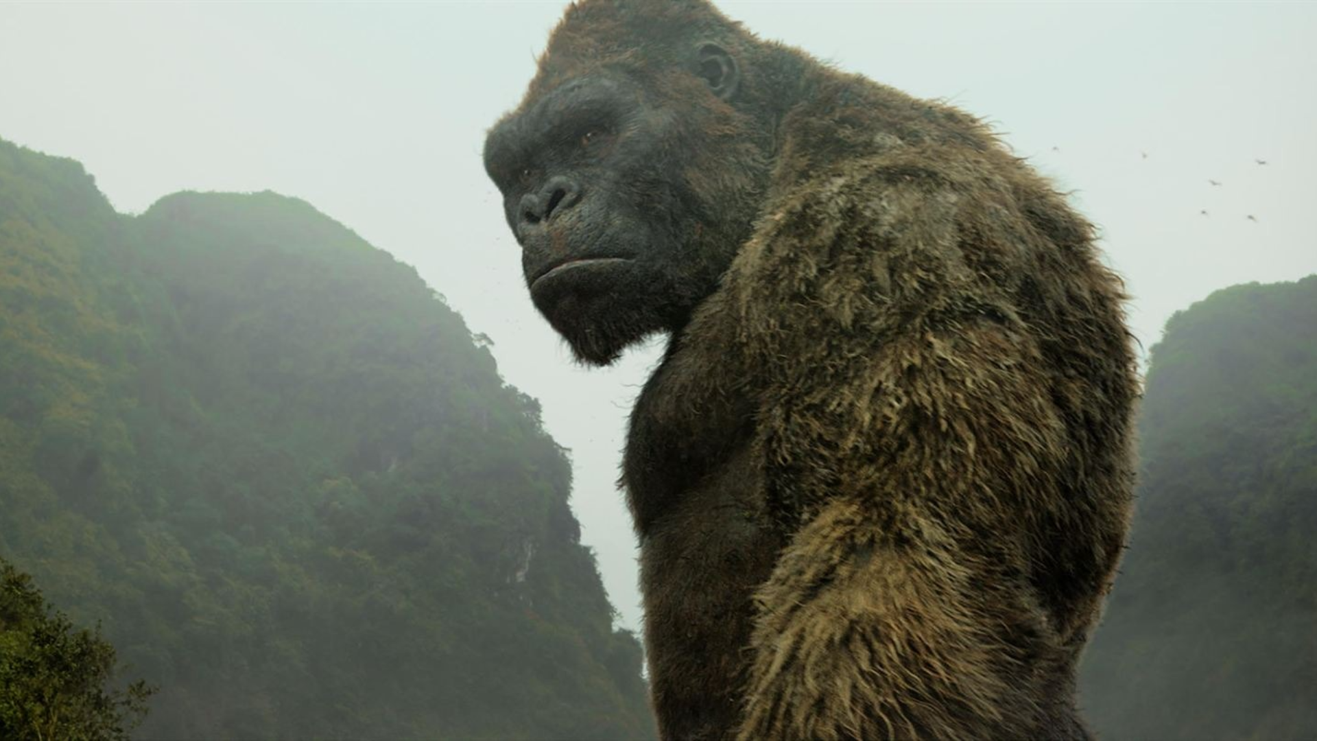 King Kong : Netflix dévoile la toute première image de la série 