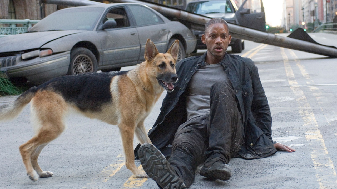 L'image du jour : le célèbre chien du film Je suis une légende