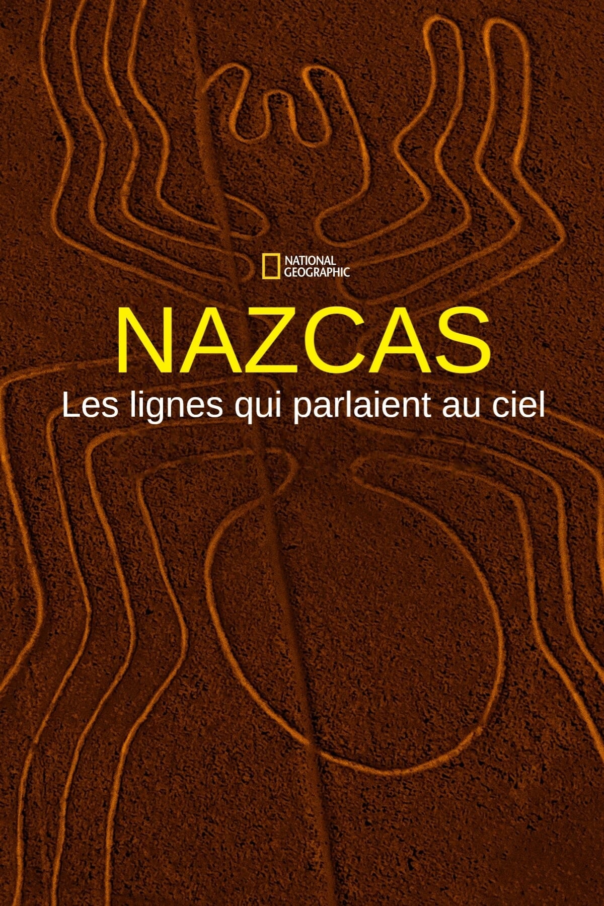 Nazcas, les lignes qui parlaient au ciel