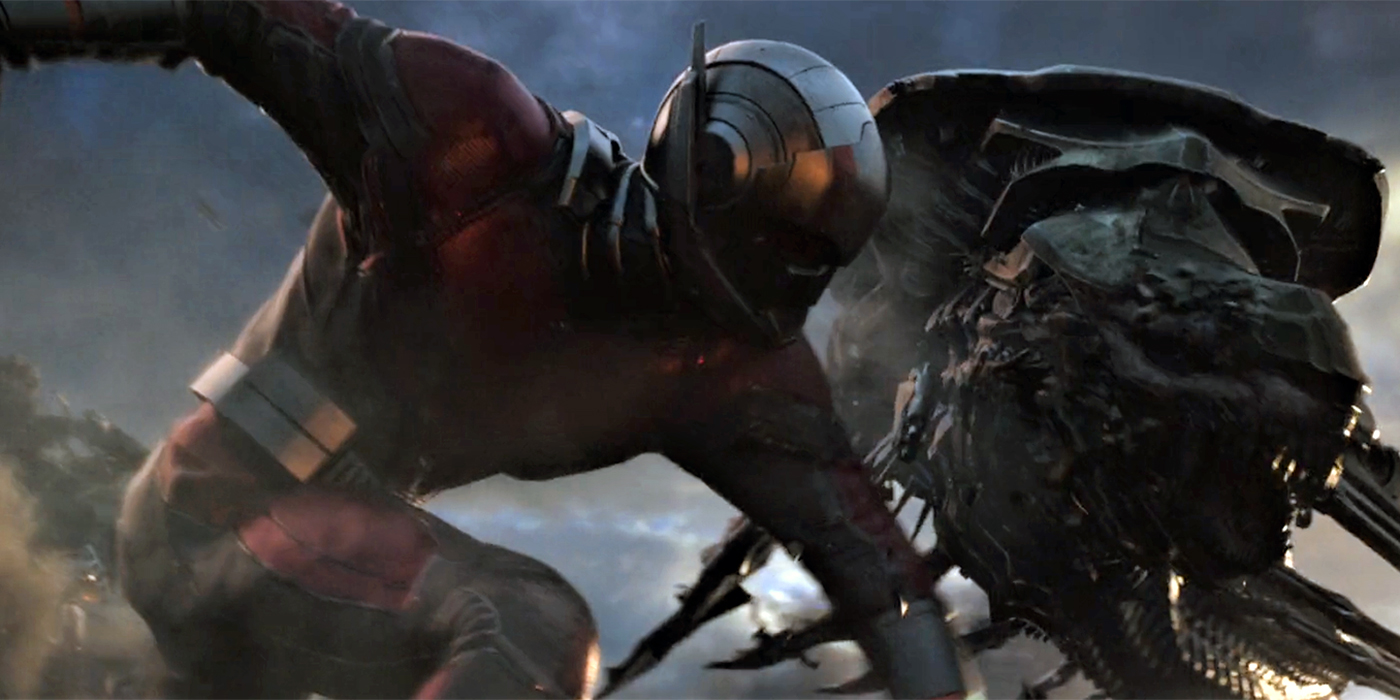 Avengers Endgame : Paul Rudd (Ant-Man) aborde enfin une théorie dégoûtante pour tuer Thanos