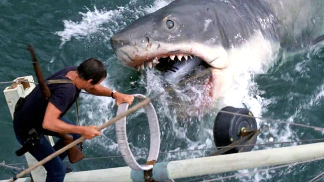 L'image du jour : le naufrage de l'Orca dans Les Dents de la mer