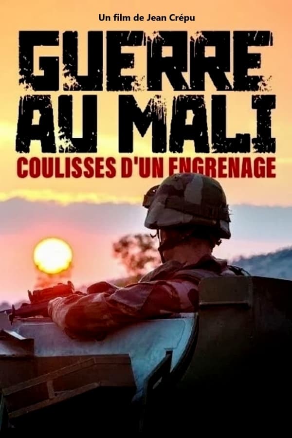 Guerre au Mali : coulisses d'un engrenage