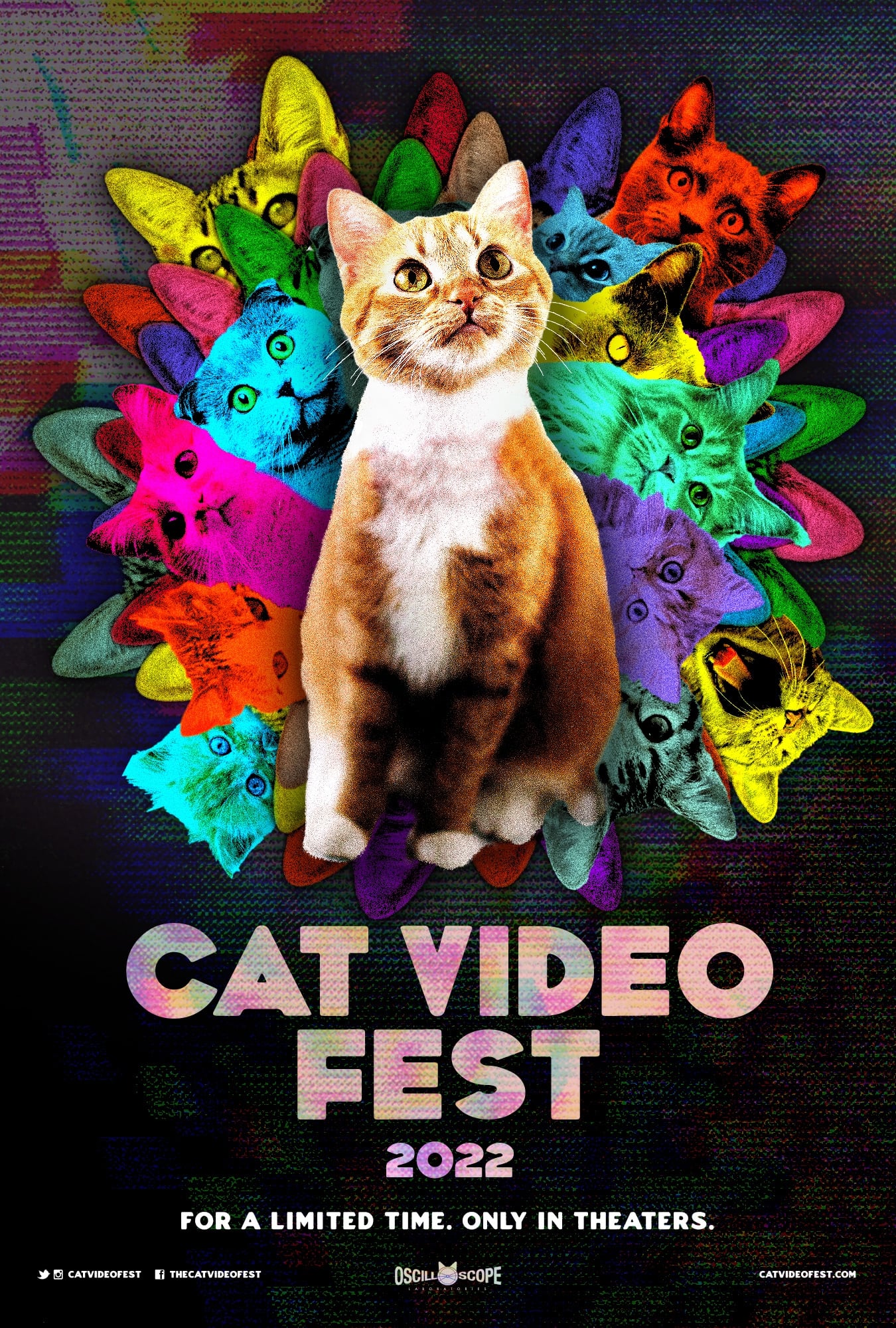 CatVideoFest 2022