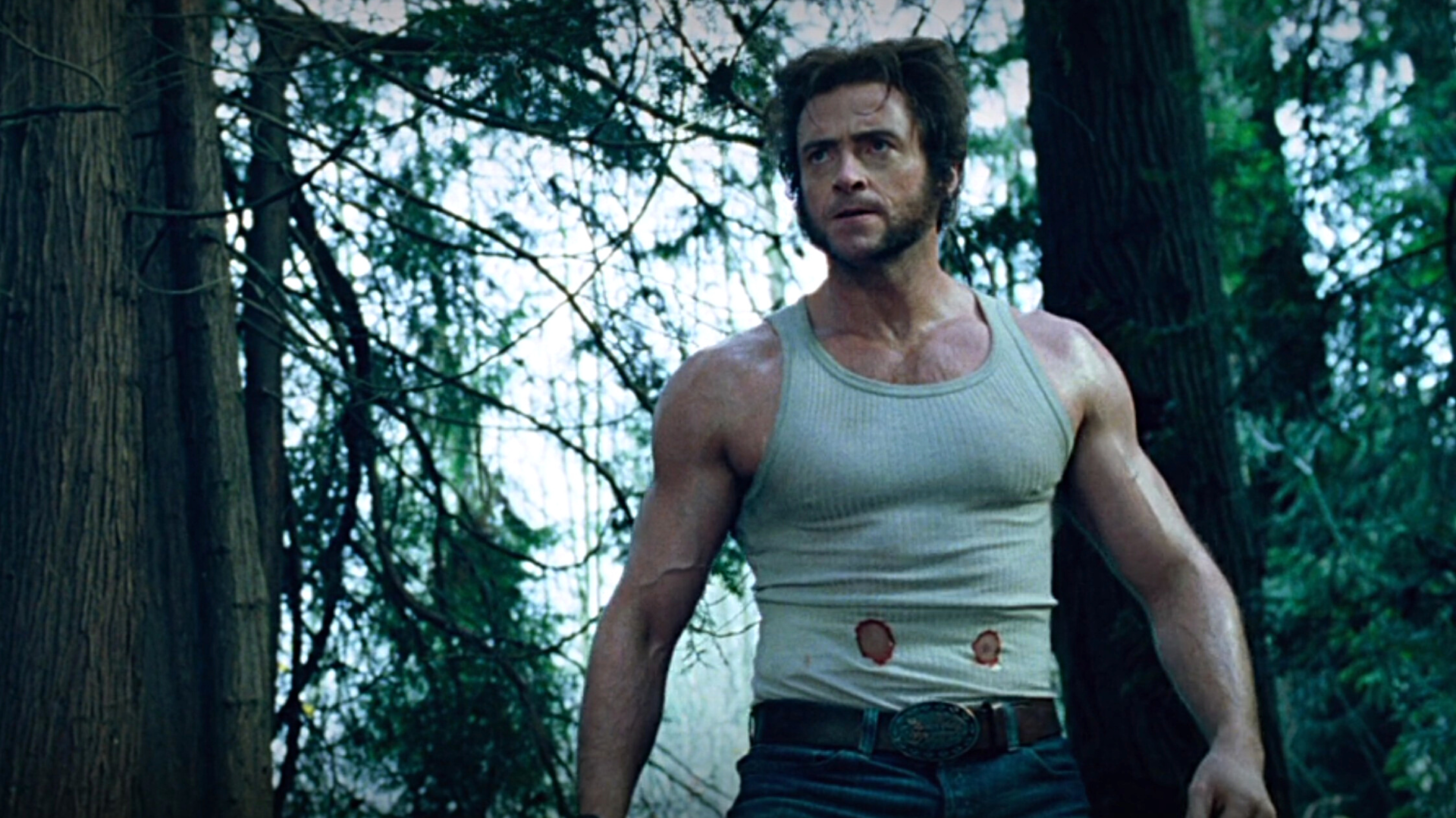 Marvel : de quelle façon Wolverine va-t-il être réintroduit dans le MCU ?
