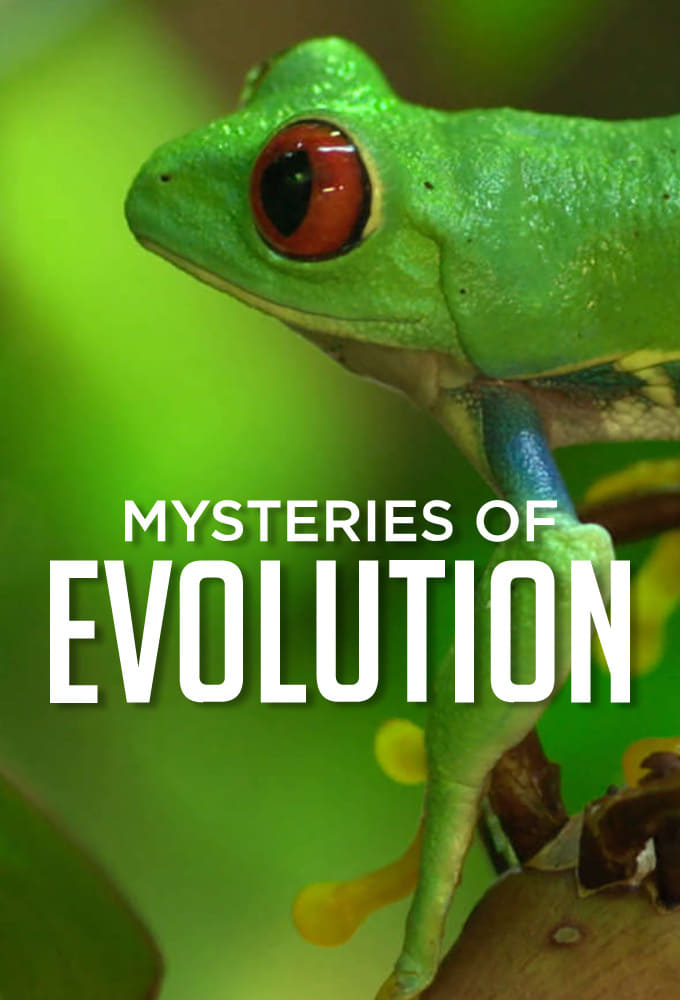 Mysteries of Evolution