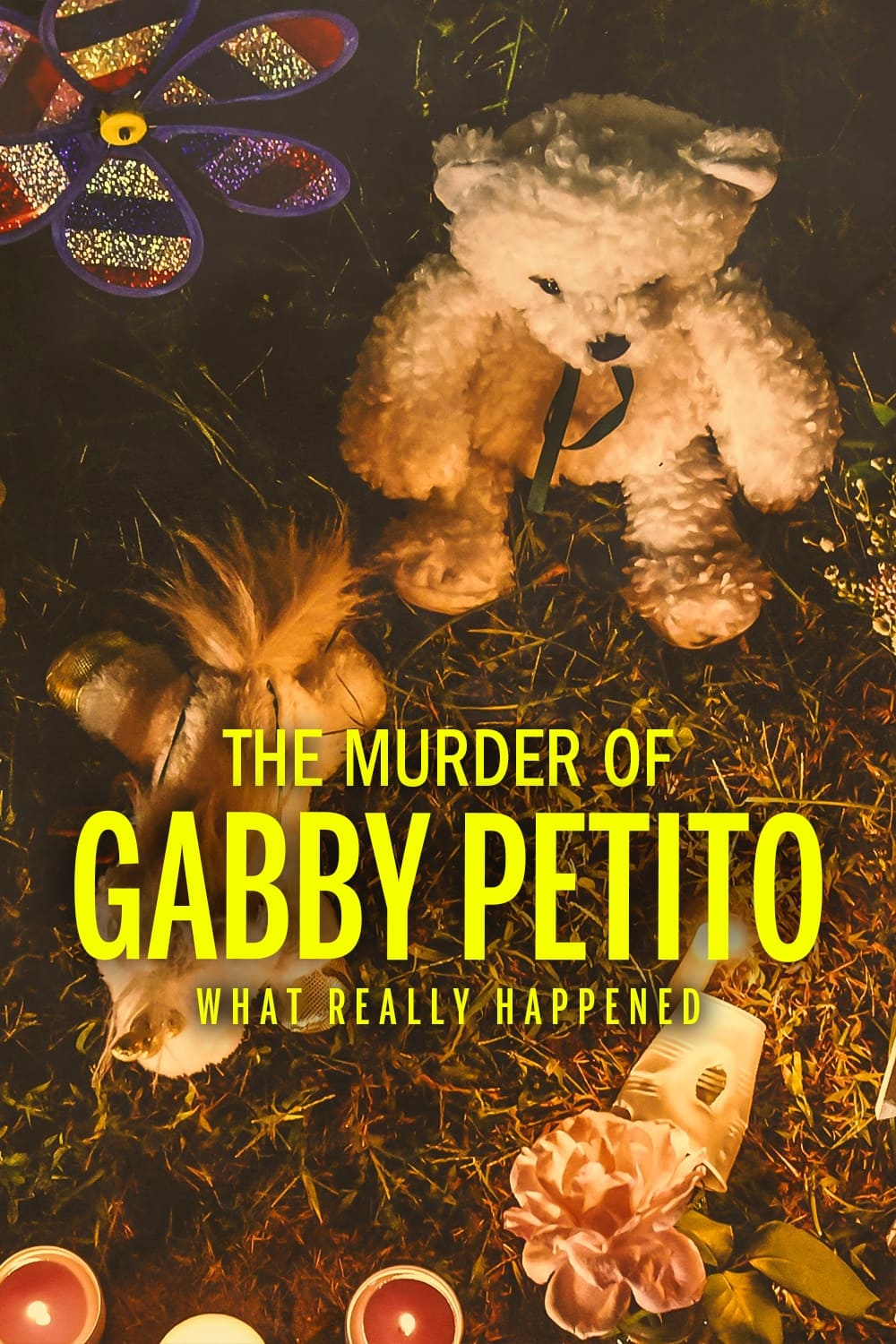 Gabby Petito : meurtre d'une influenceuse