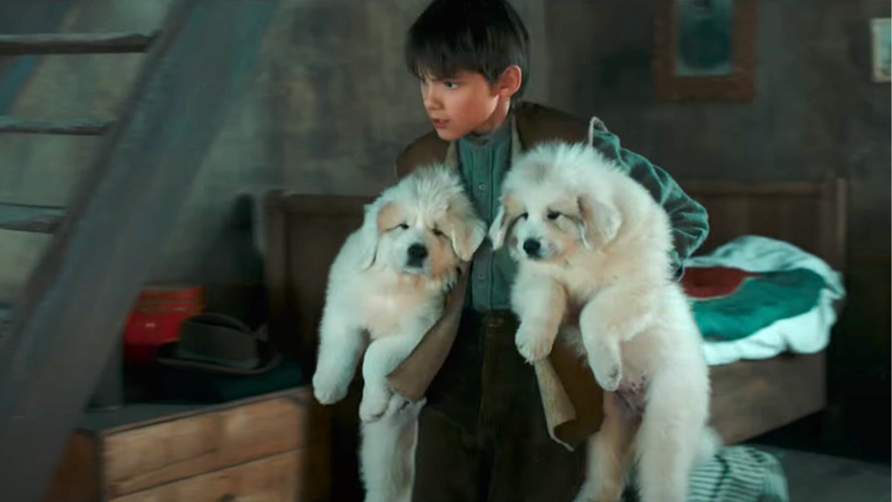 Belle et Sébastien 3 : pourquoi le tournage avec les chiots était un calvaire ?