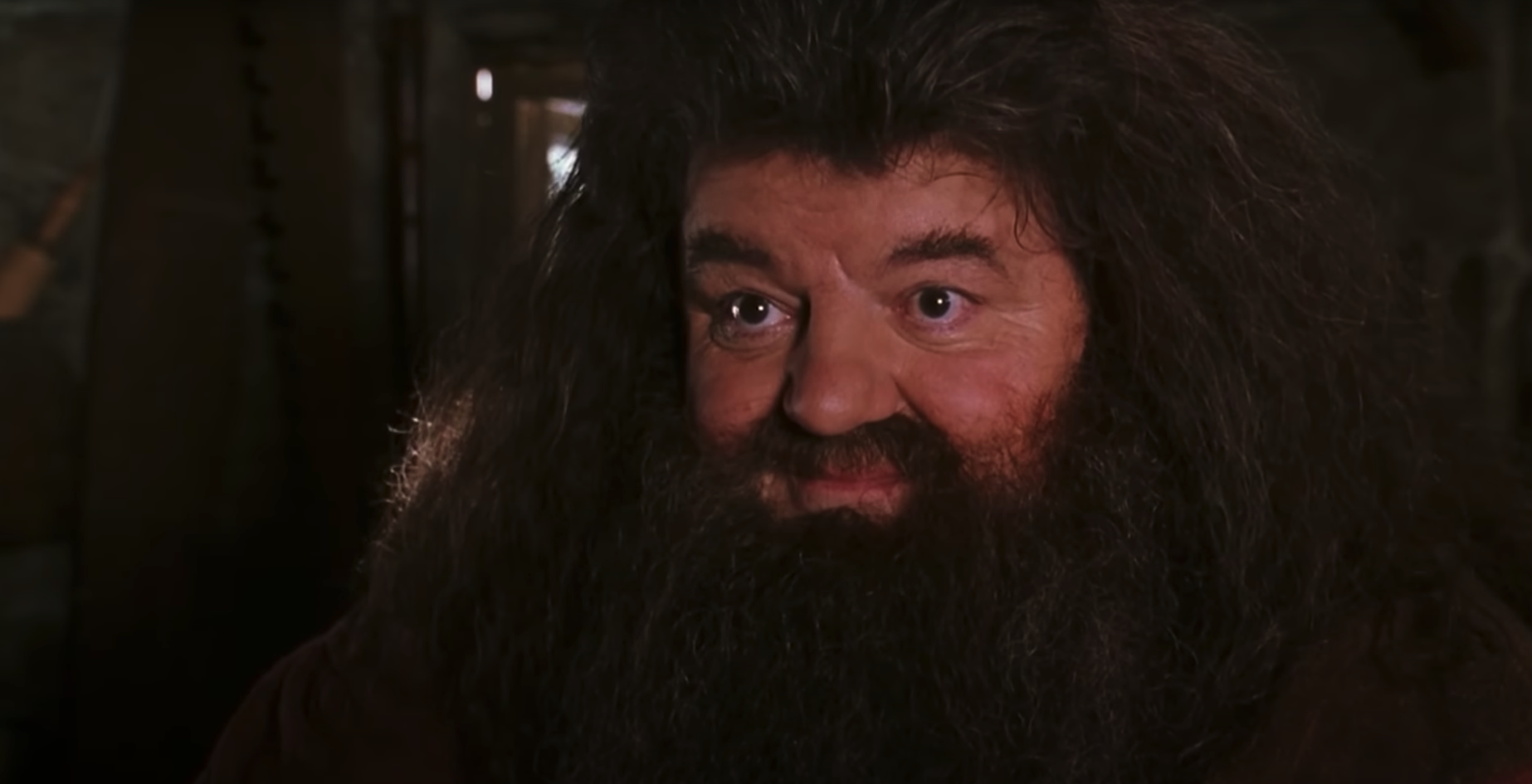 Robbie Coltrane, l'interprète de Hagrid dans 