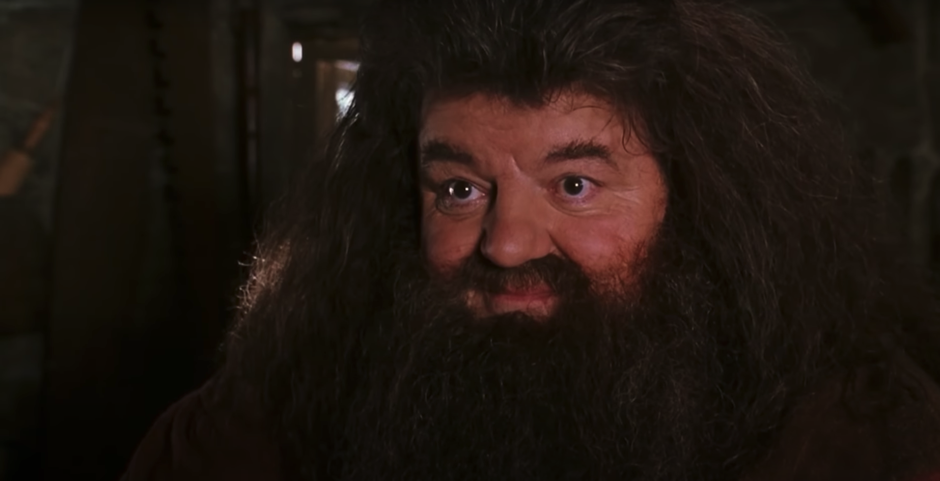 Robbie Coltrane, l'interprète de Hagrid dans "Harry Potter", est décédé à 72 ans