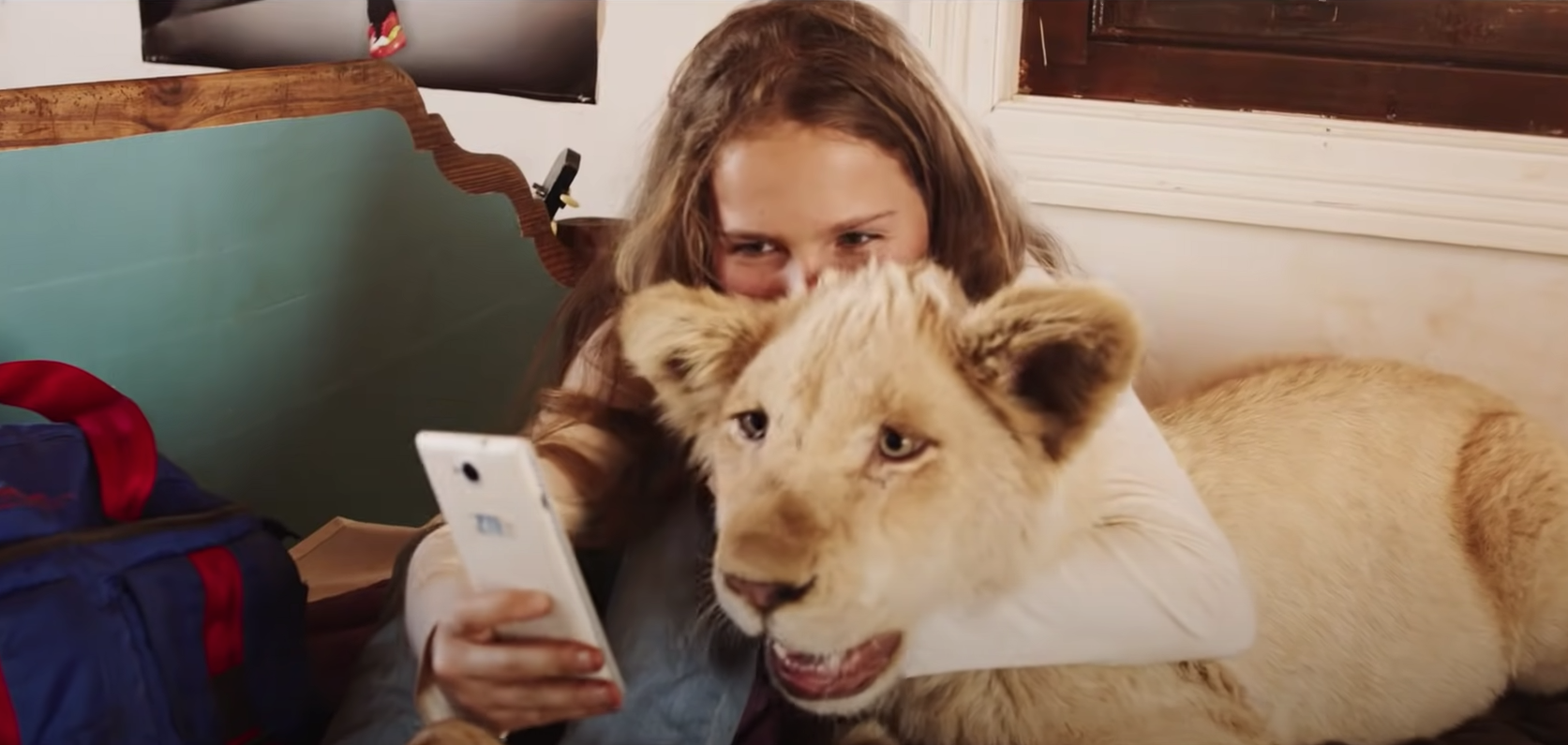 Mia et le Lion Blanc : que devient le vrai lion du film ? - CinéSérie