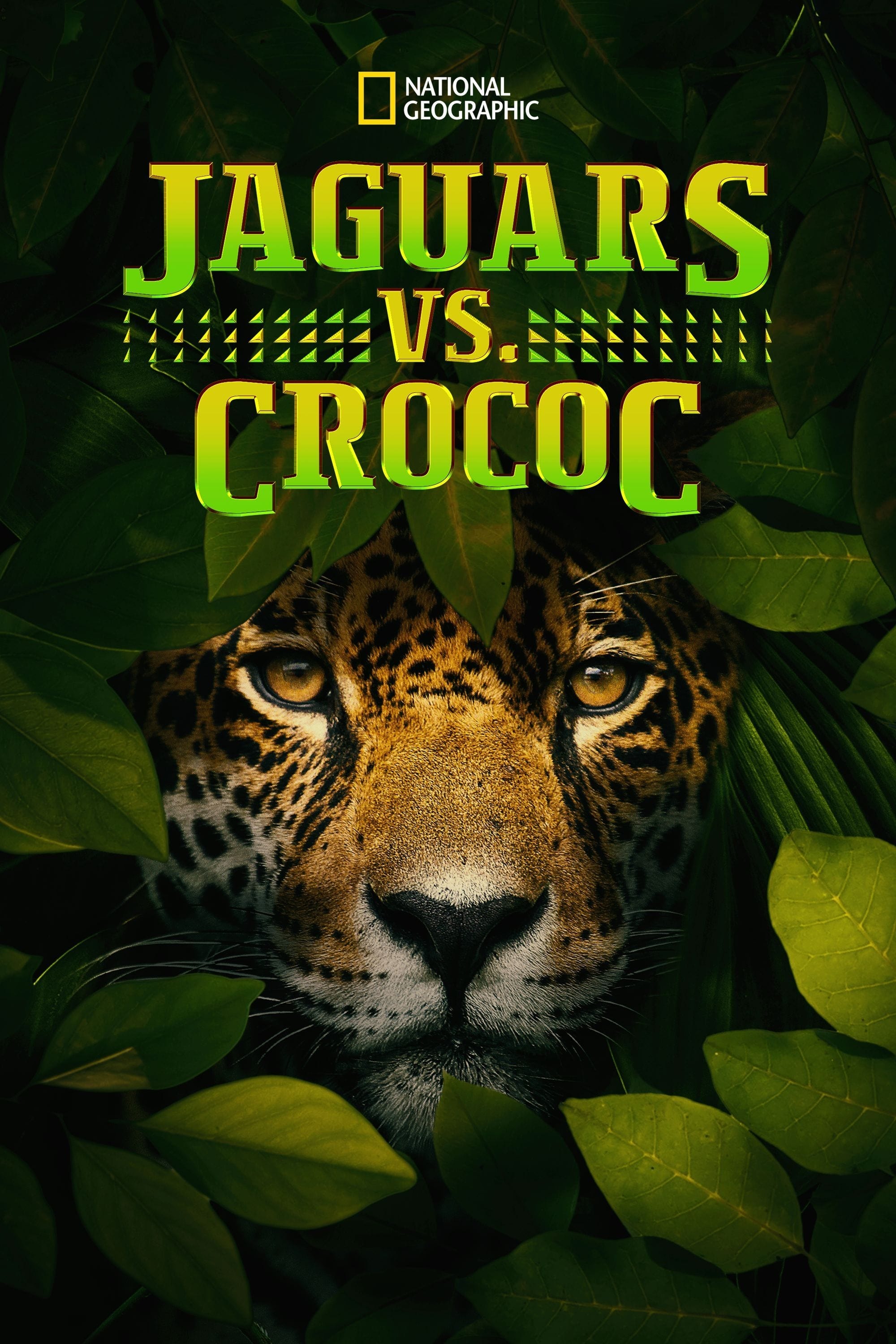 Jaguar vs. Croc