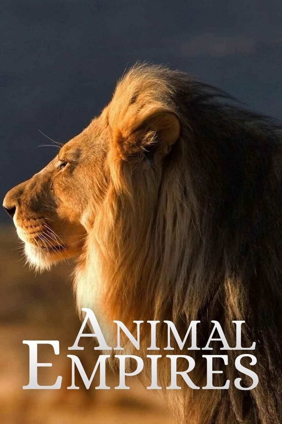 Animal Empires