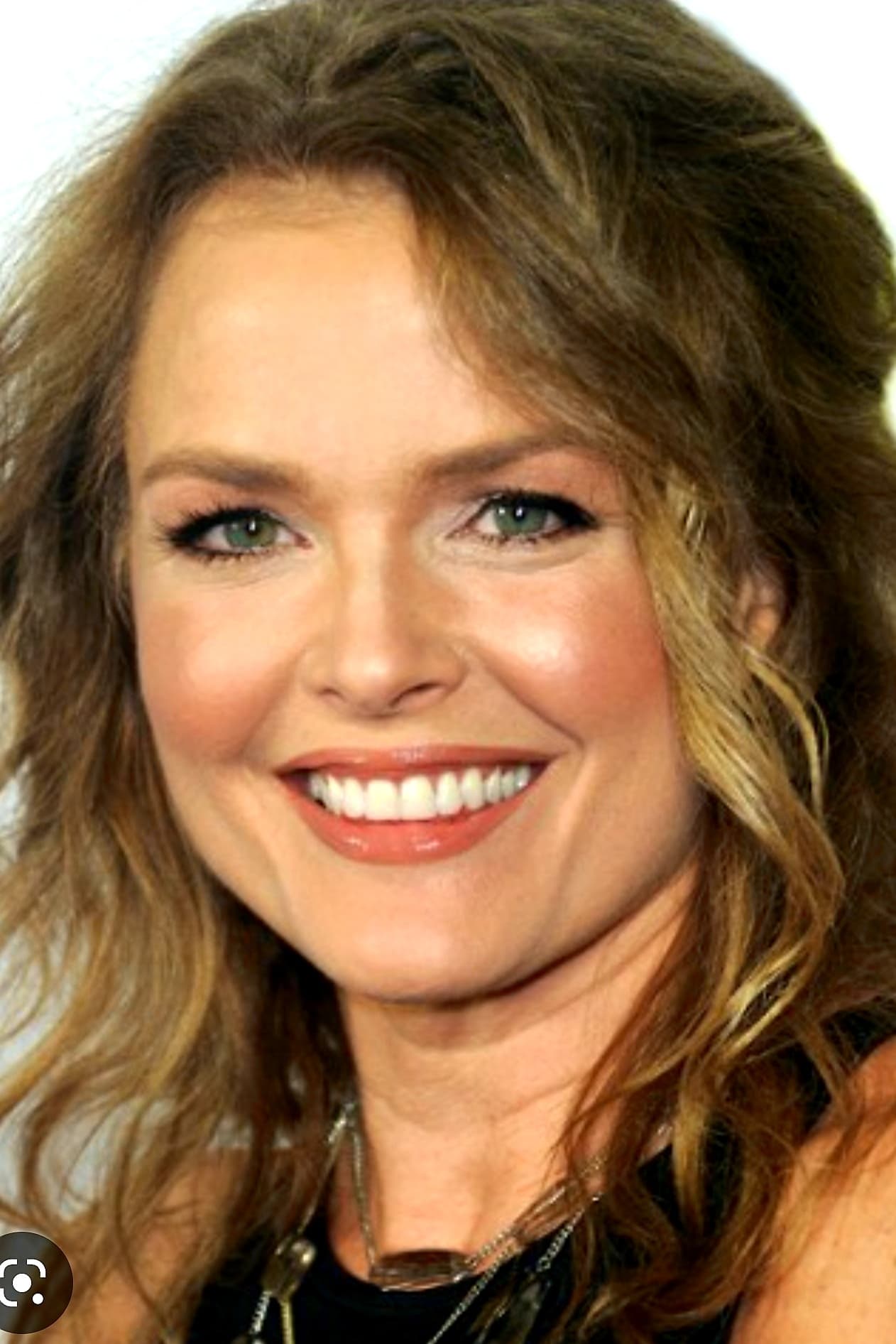 Dina Meyer, Acteur.trice - CinéSérie