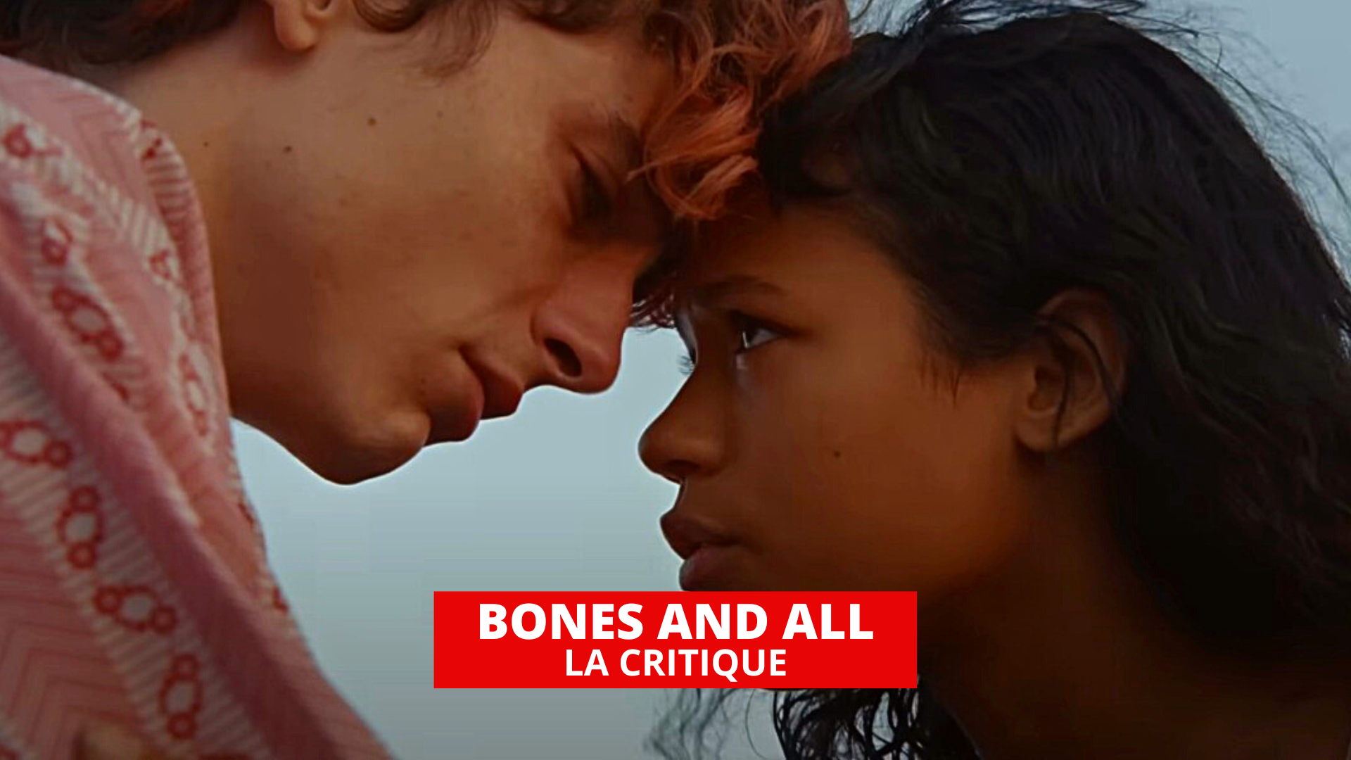 Bones and All : une romance sanguine déroutante