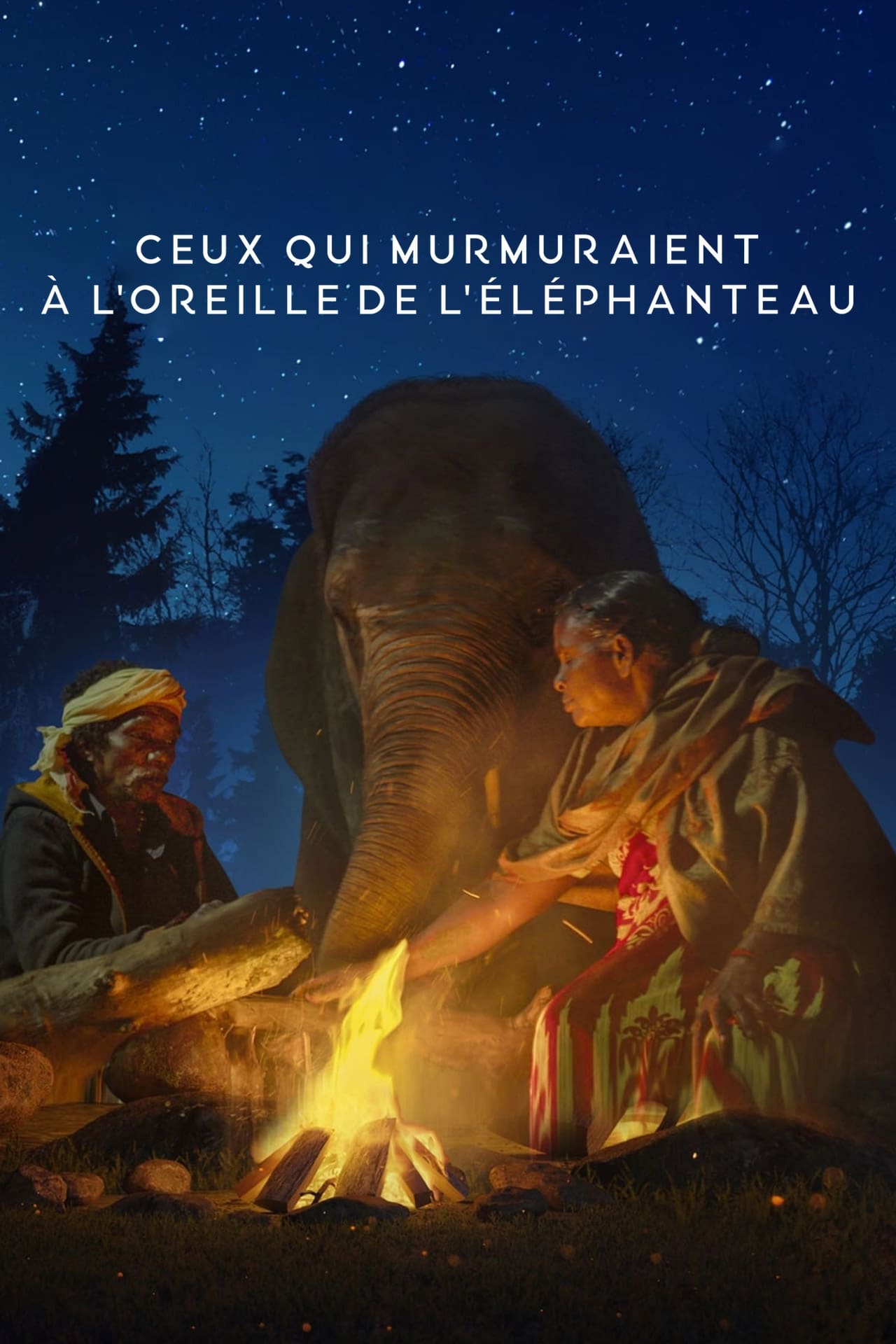 Ceux qui murmuraient à l'oreille de l'éléphanteau