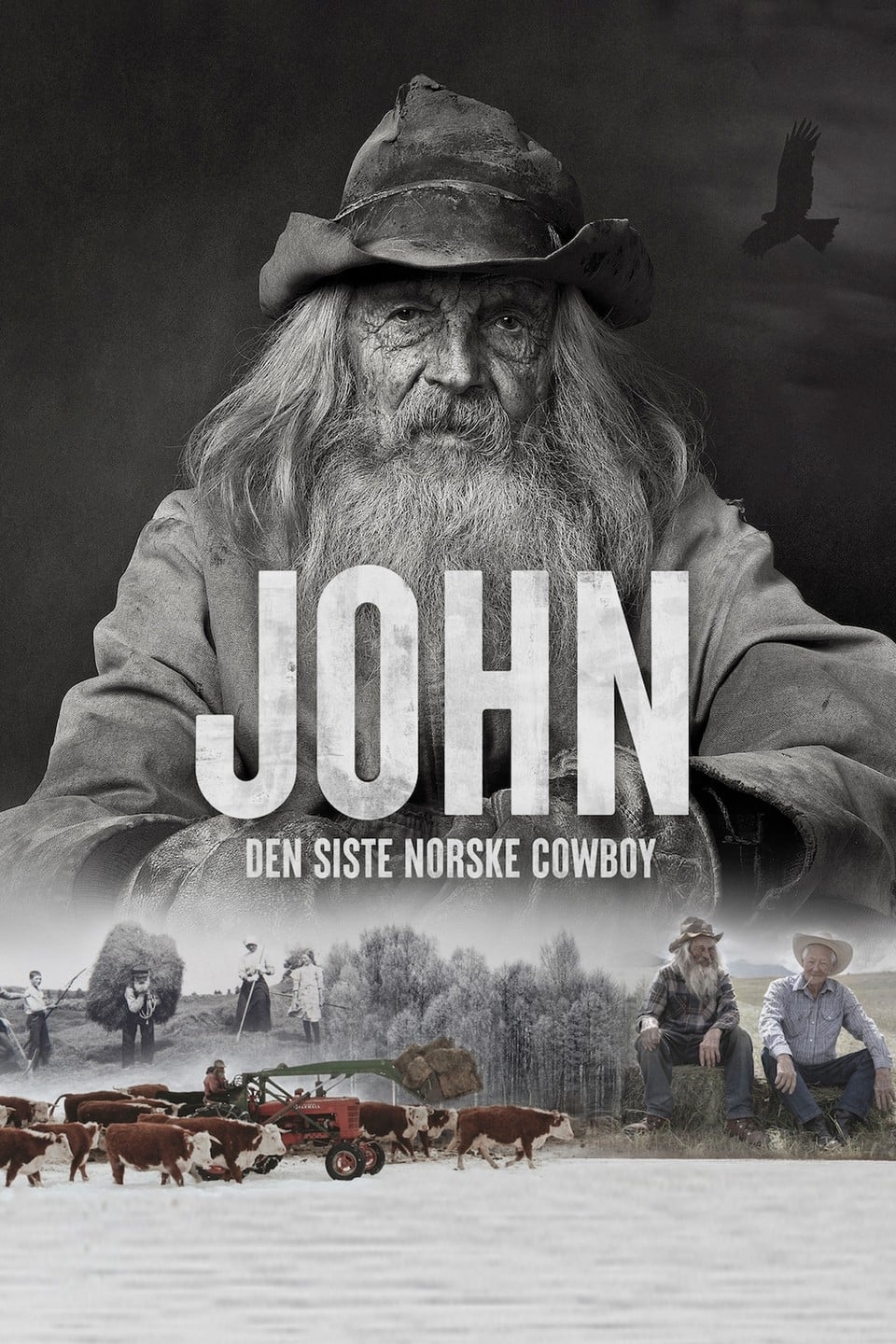 John - The Last Cowboy