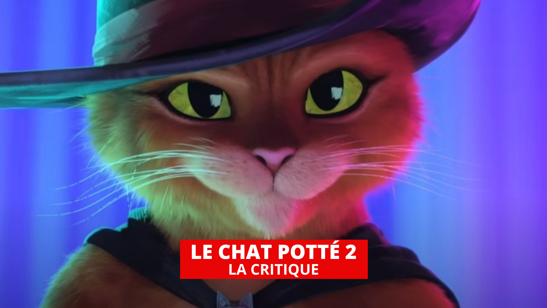 Le Chat Potté 2 - La Dernière quête : l'introspection passionnante d'un héros déchu