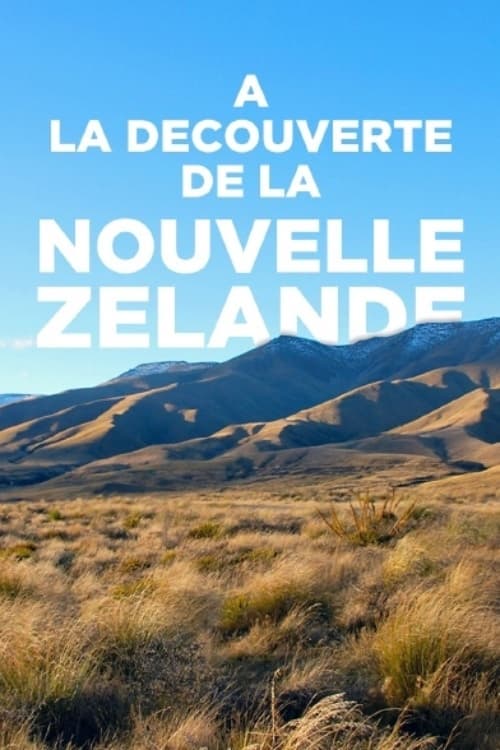 Nouvelle Zélande, embarquement pour un voyage inédit