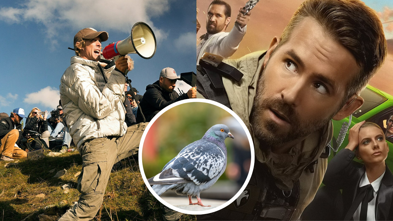 Michael Bay accusé d'avoir tué un pigeon pendant le tournage de "6 Underground"