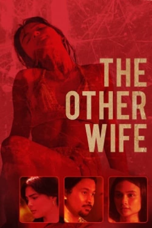 The Other Wife