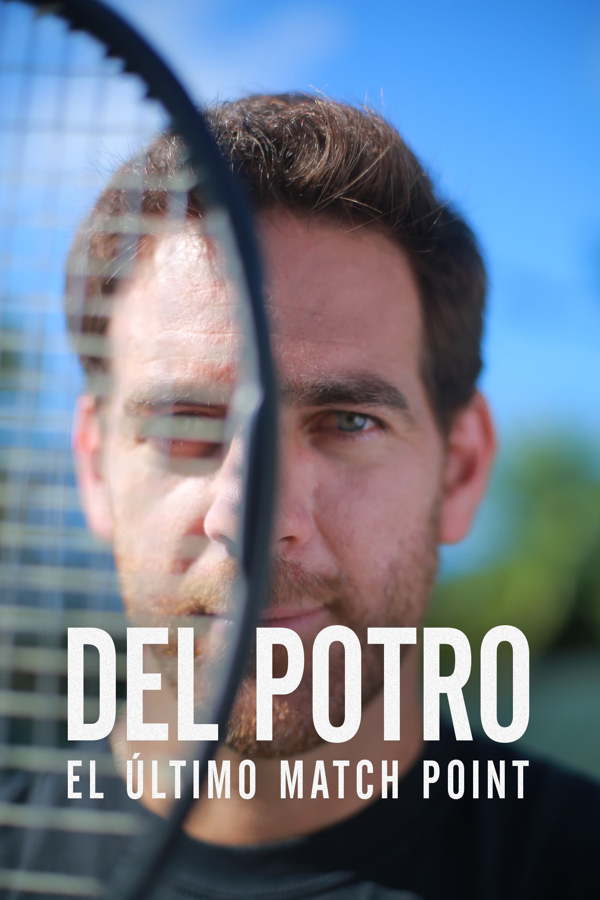 Del Potro, el último match point