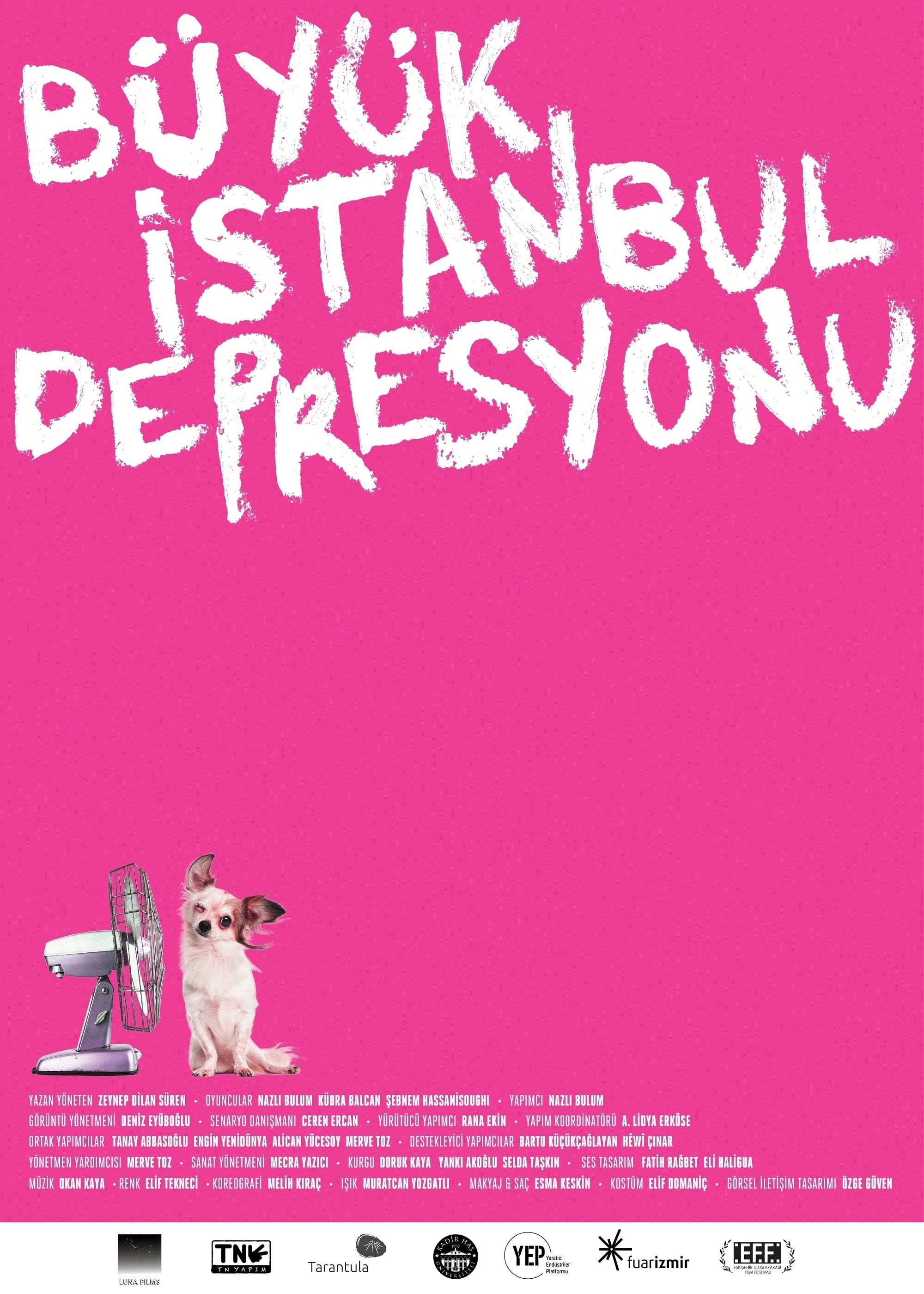 The Great Istanbul Depression