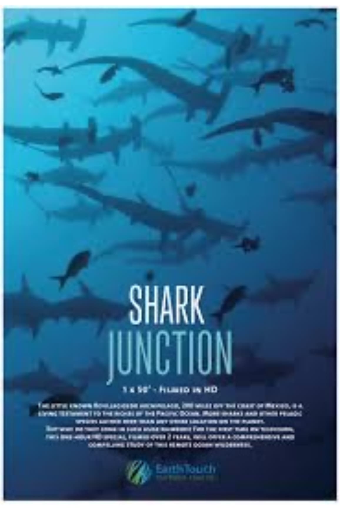 Shark Junction