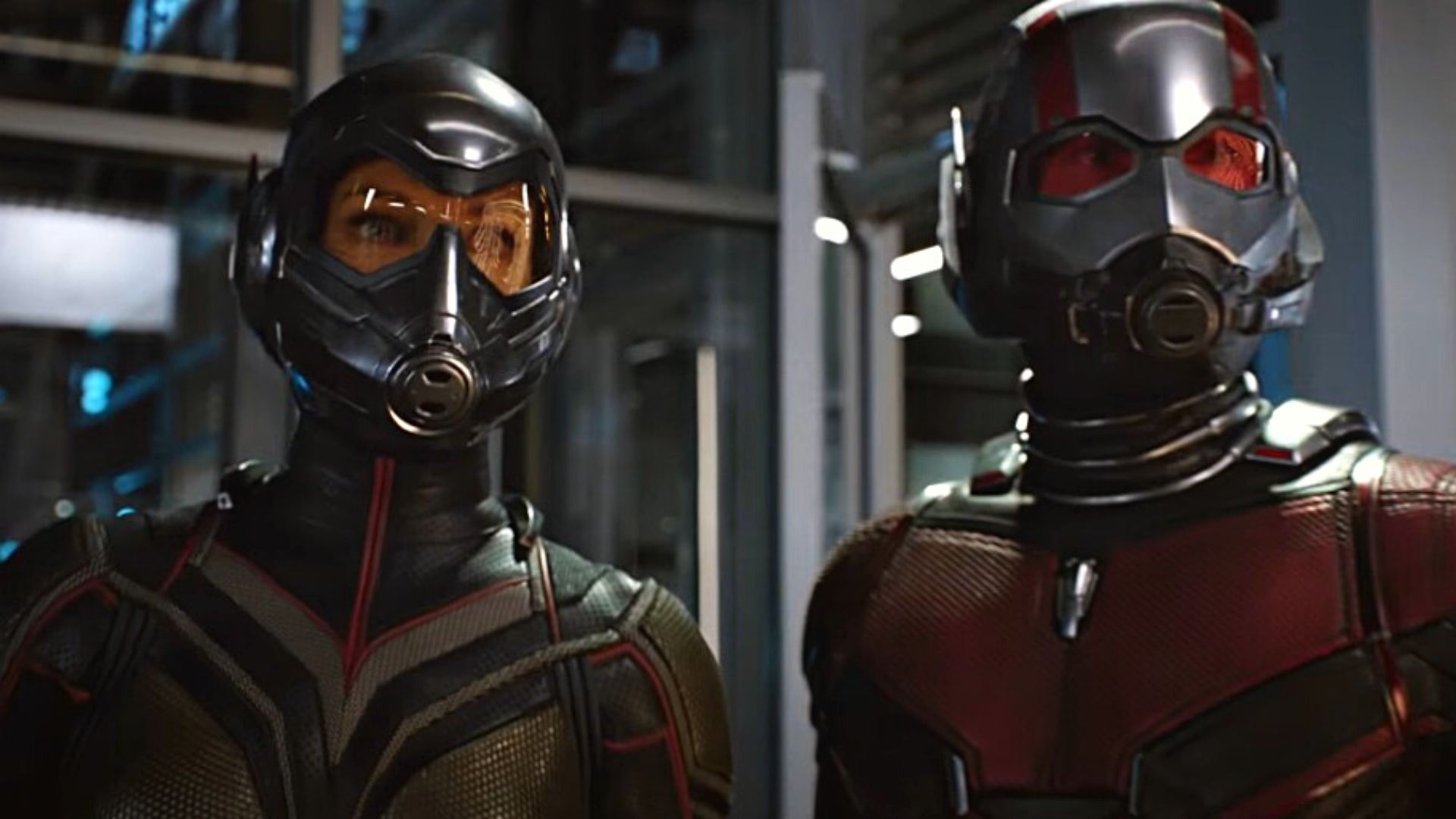 Ant-Man et la Guêpe : ce détail très important sur la Guêpe abandonné dans le MCU