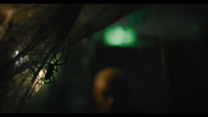 Vermines : ce film d'horreur français que les arachnophobes vont détester
