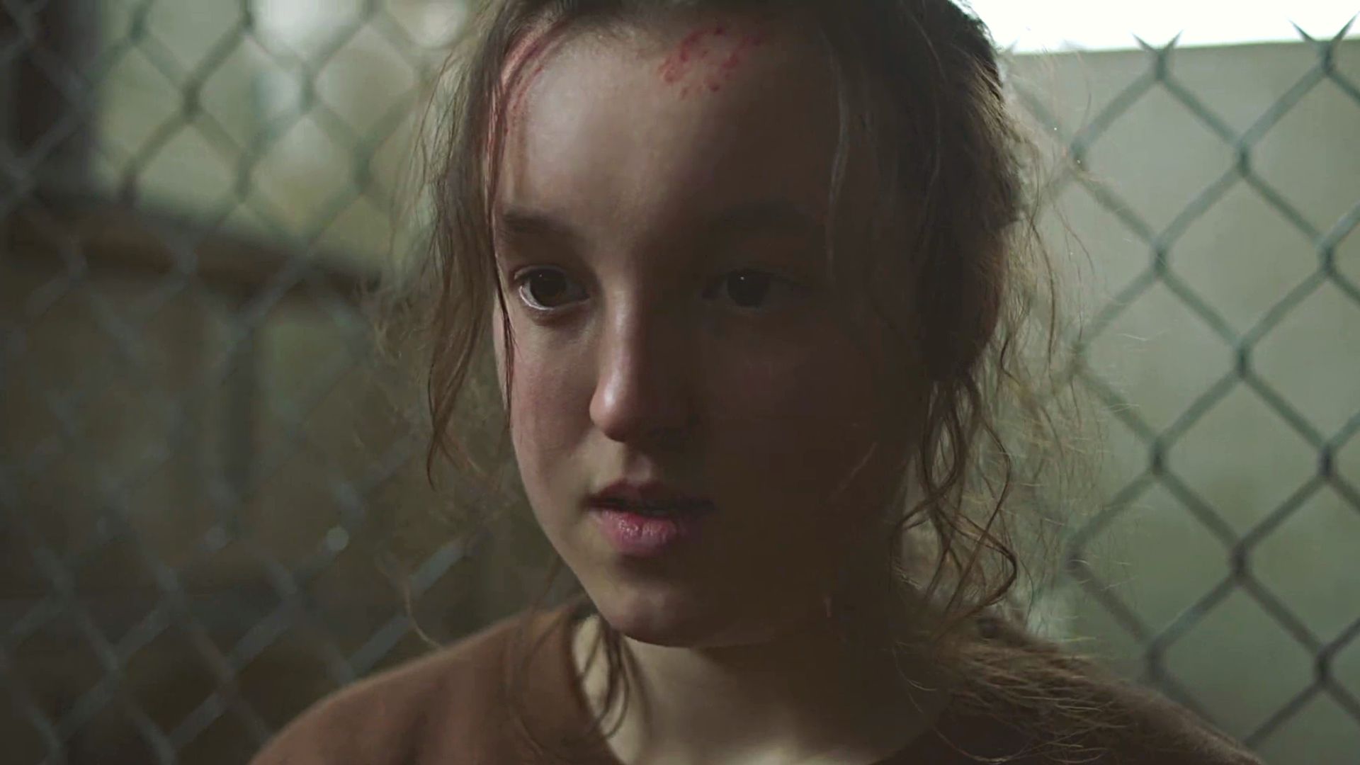 The Last of Us : des chiffres impressionnants pour l'épisode 8