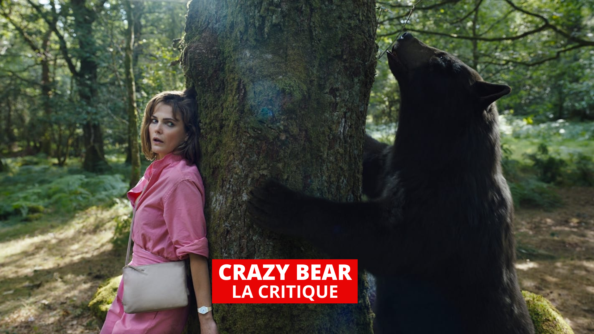 Crazy Bear : la grande comédie WTF qu'on n'attendait plus