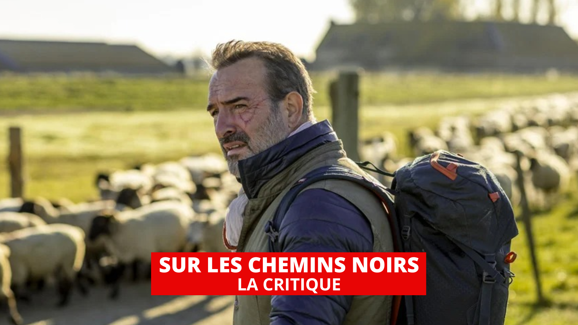 Sur les chemins noirs : écrire pour réfléchir, marcher pour rester en vie