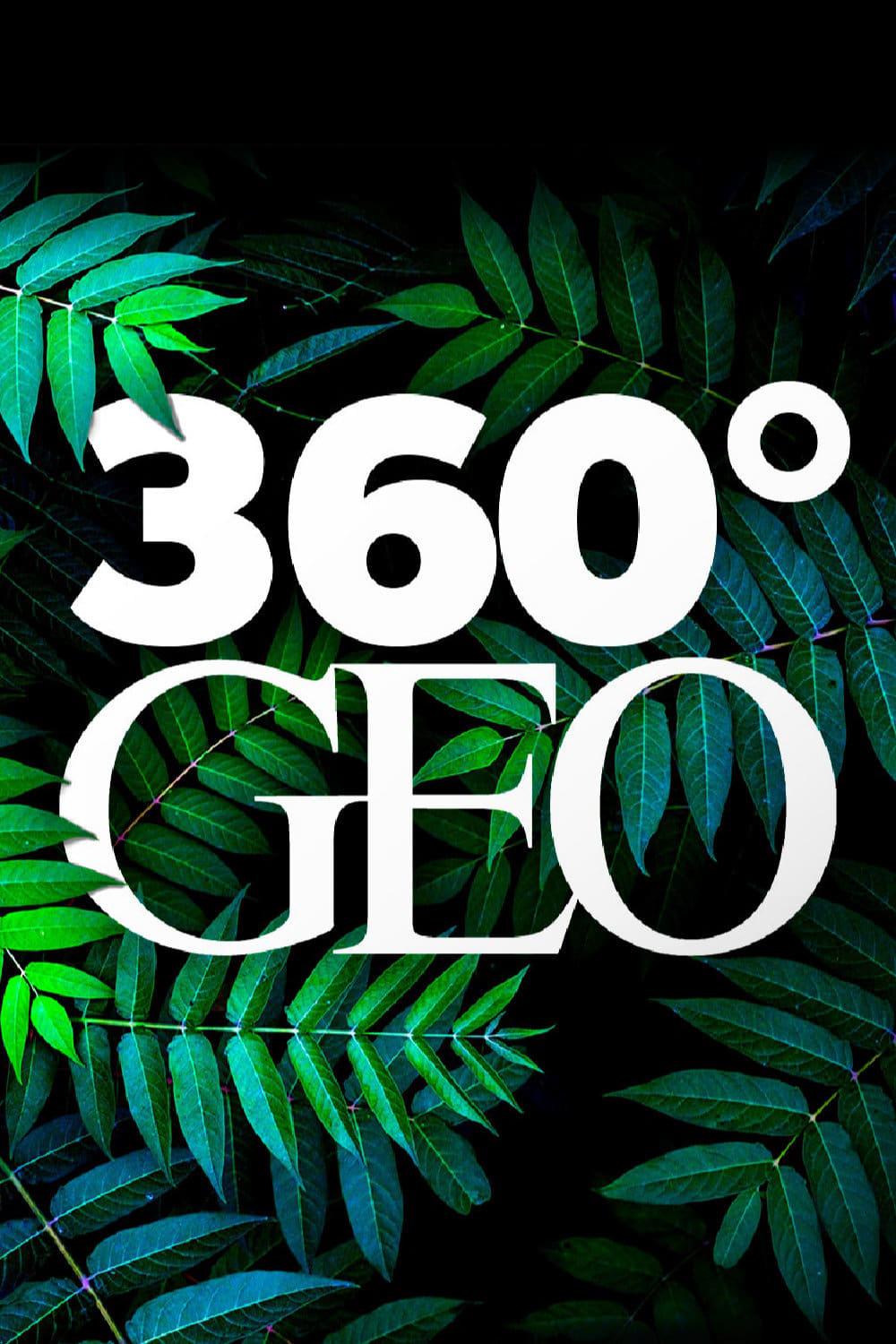 360° Géo