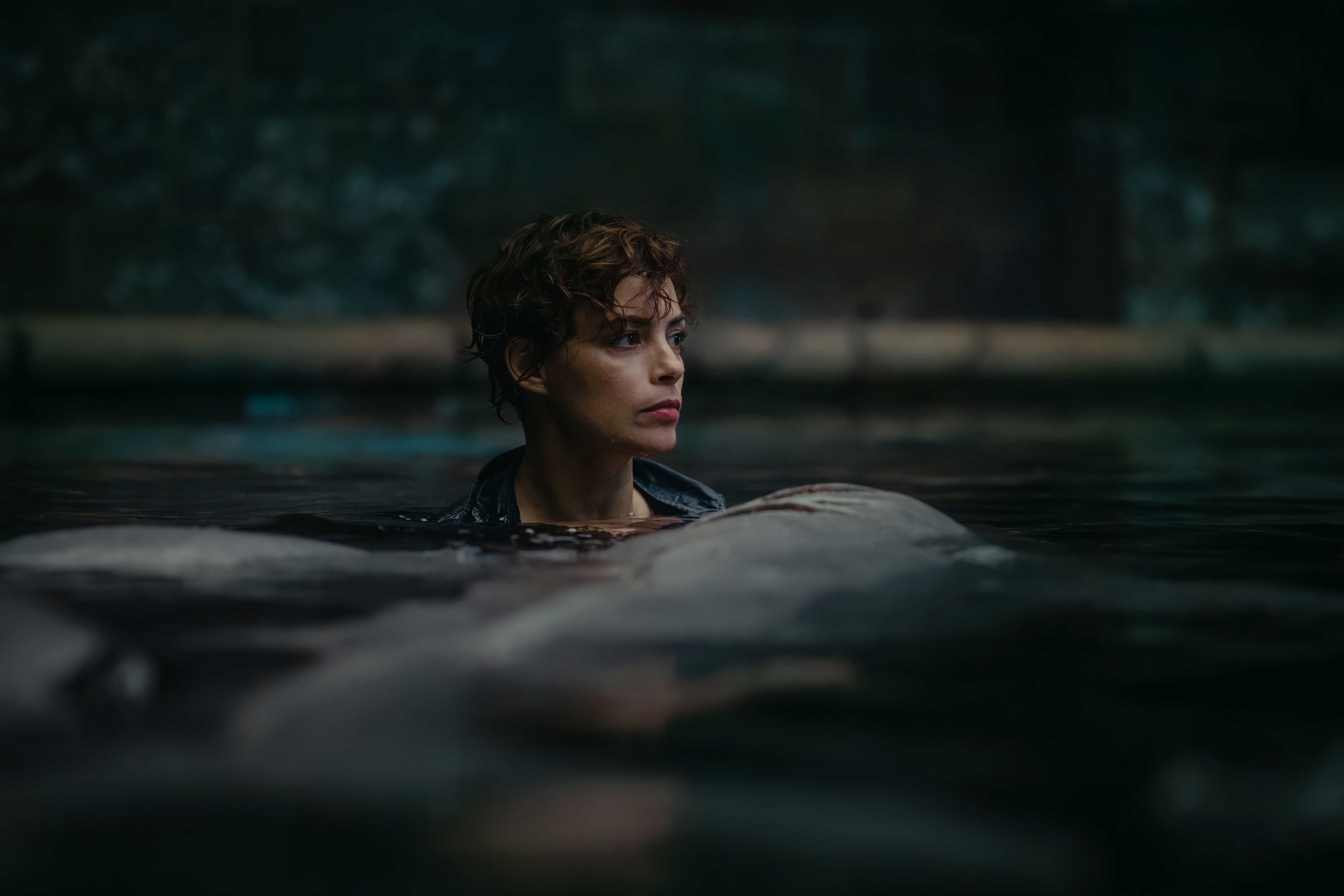 Bérénice Bejo va chasser un dangereux requin dans la Seine