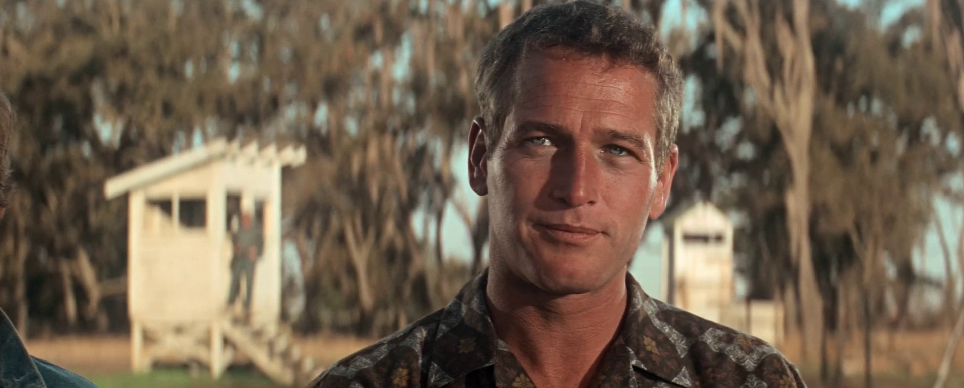 Luke la main froide : un Paul Newman mémorable en coffret 4K