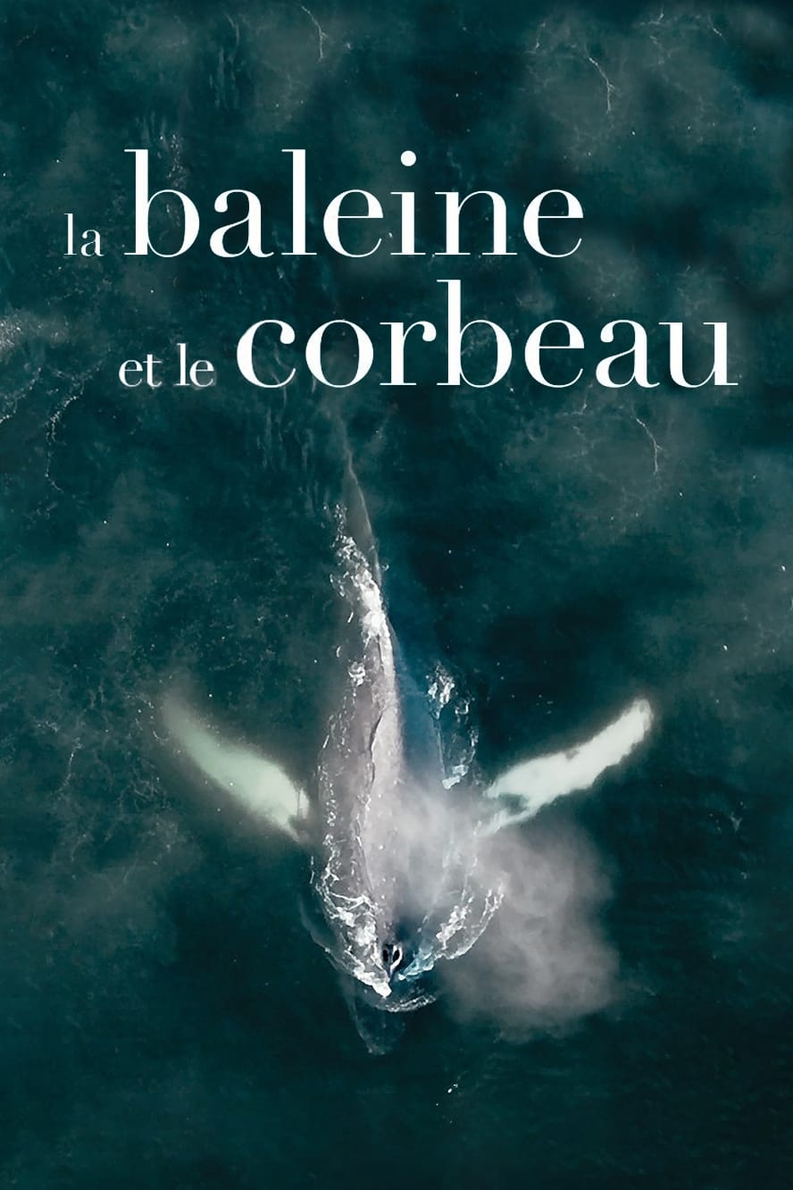 La baleine et le corbeau