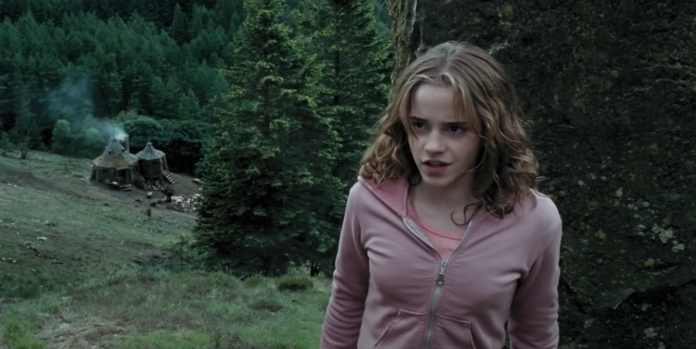 Hermione Granger Fakes