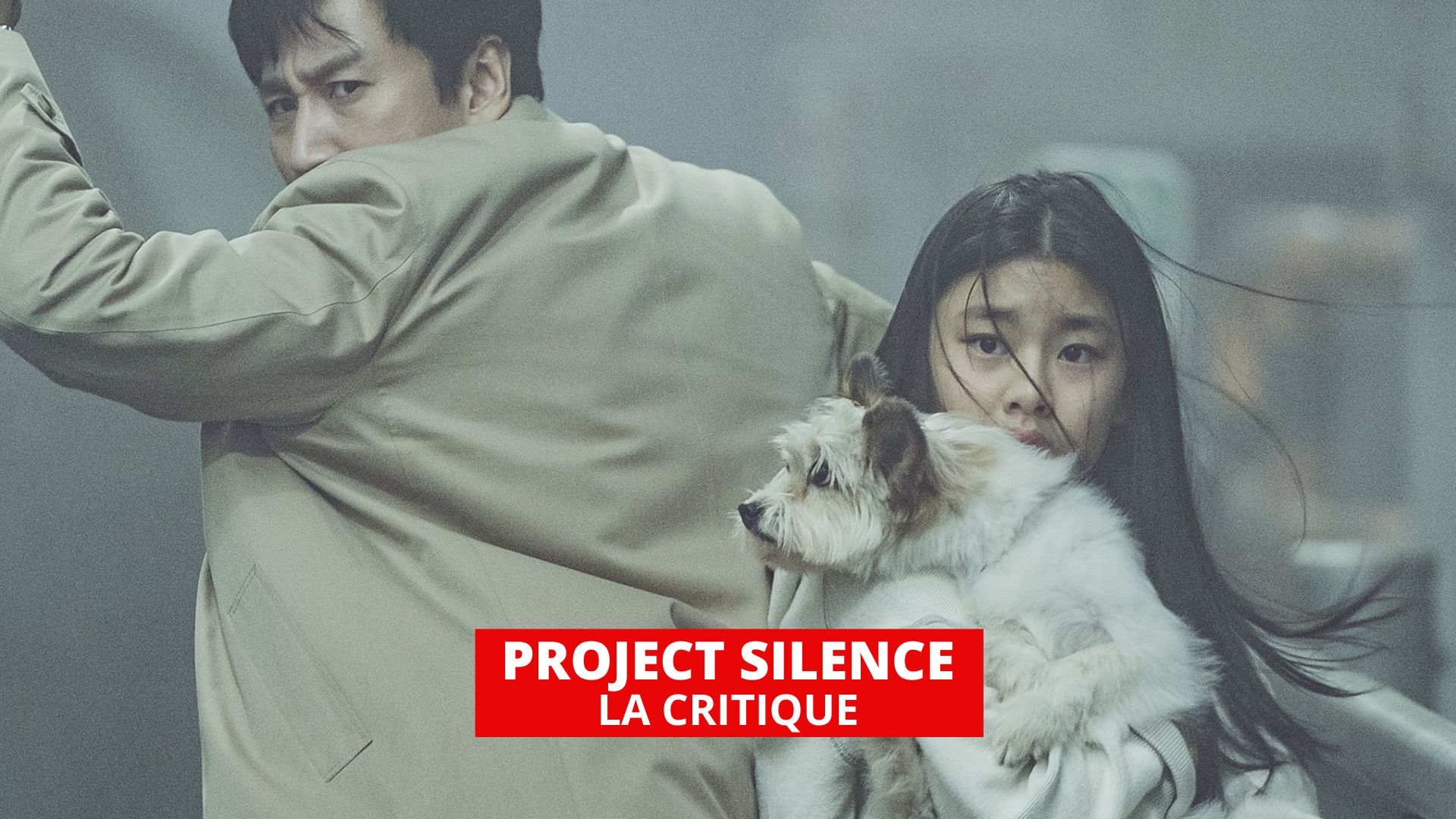 Project Silence : attention chiens méchants !