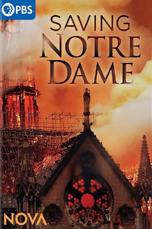 Saving Notre Dame