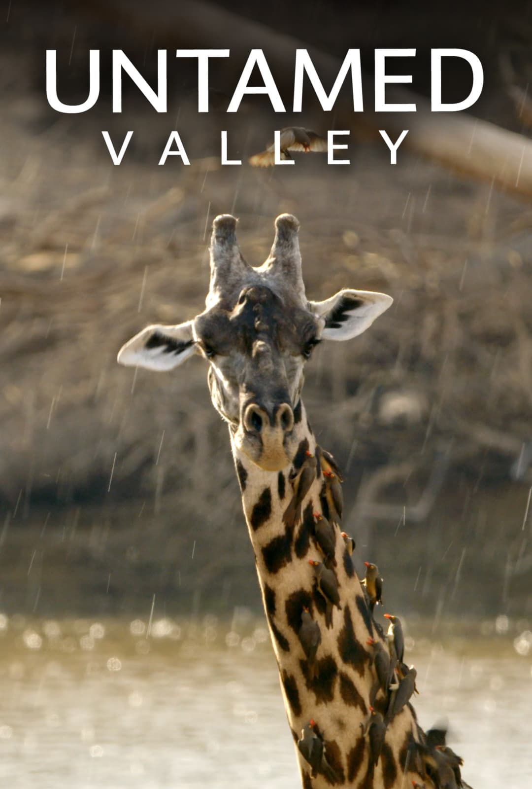 Untamed Valley