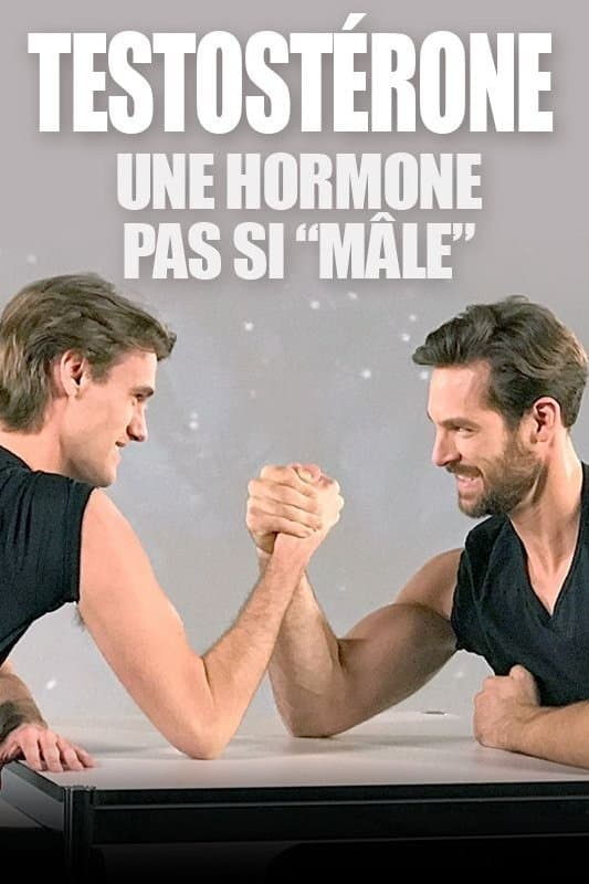 Testostérone : une hormone pas si 