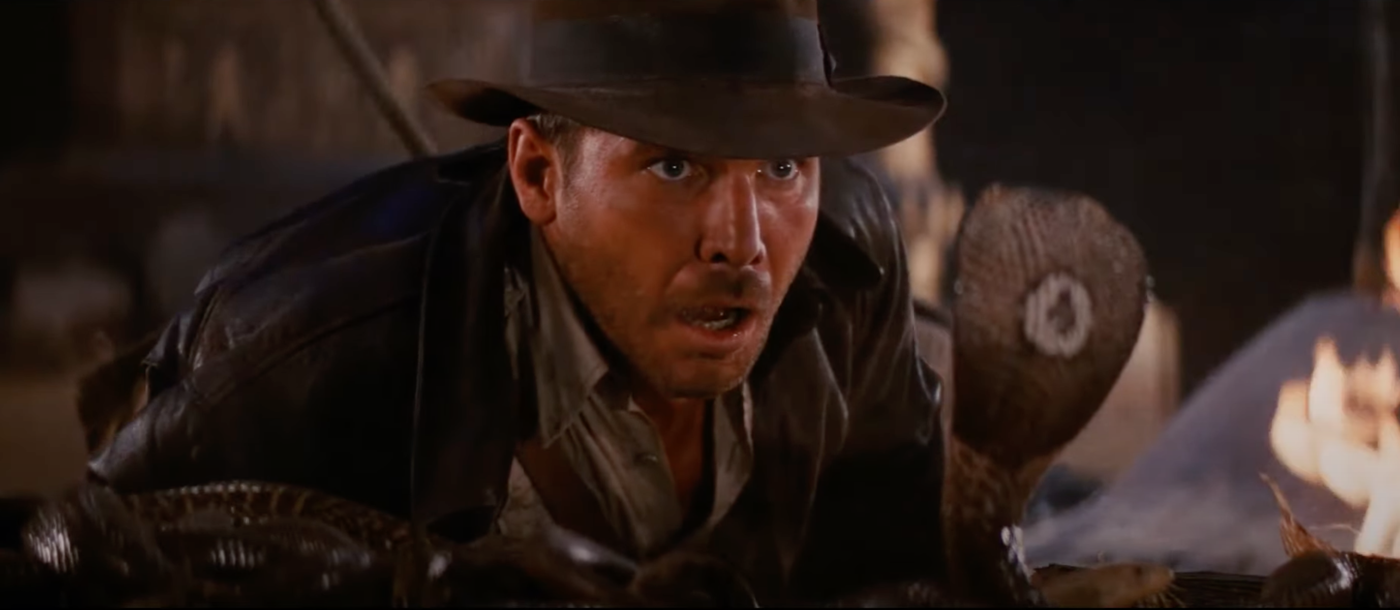 Harrison Ford : un serpent nommé en son honneur, l'acteur a une réaction hilarante